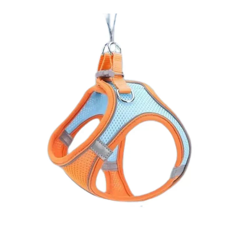 Adventurous Cat Harness with Leash – Adjustable and Reflective | Kalsten