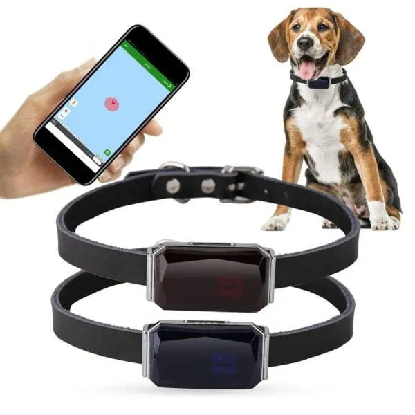 Pet GPS Tracker - Real-Time Location Tracking System for Pets | Kalsten