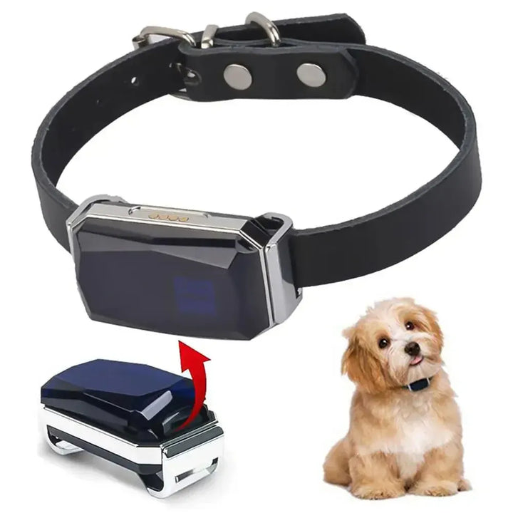 Pet GPS Tracker - Real-Time Location Tracking System for Pets | Kalsten