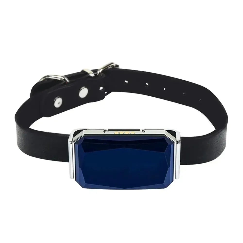 Pet GPS Tracker - Real-Time Location Tracking System for Pets | Kalsten