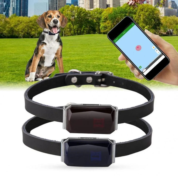 Pet GPS Tracker - Real-Time Location Tracking System for Pets | Kalsten