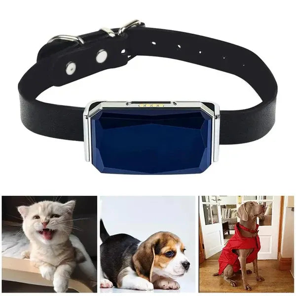 Pet GPS Tracker - Real-Time Location Tracking System for Pets | Kalsten