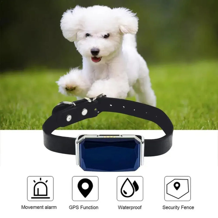 Pet GPS Tracker - Real-Time Location Tracking System for Pets | Kalsten