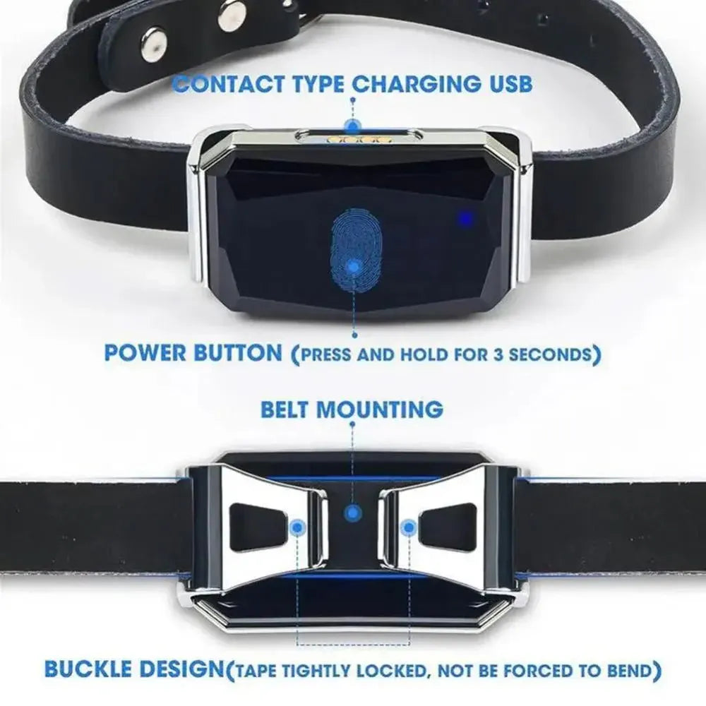 Pet GPS Tracker - Real-Time Location Tracking System for Pets | Kalsten