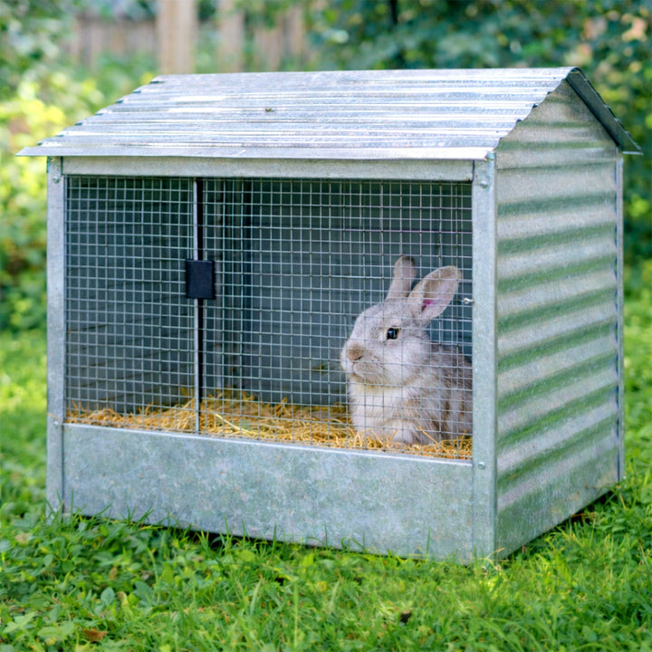 Wire mesh Galvanized 5m/10m Aviary wire Mole mesh | Kalsten