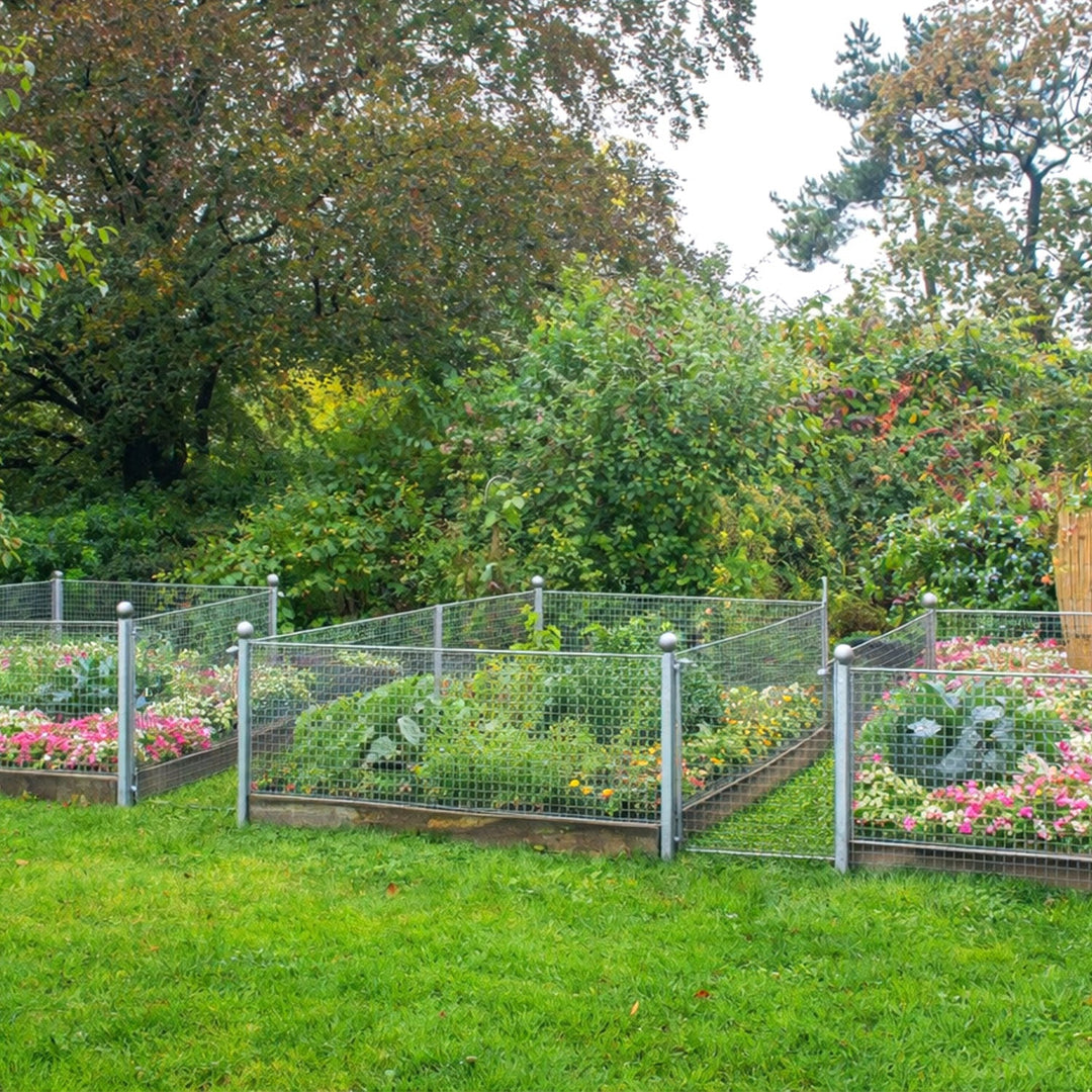 Wire mesh Galvanized 5m/10m Aviary wire Mole mesh | Kalsten