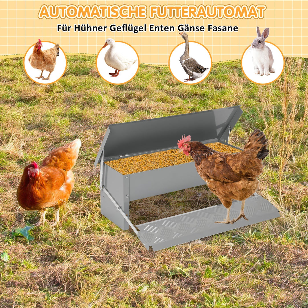 Feed dispenser feeder with gloves 5kg | Kalsten