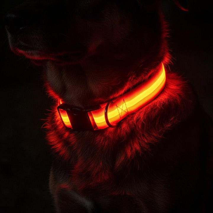 Kalsten | LED Safety Dog Collar with Adjustable Fit