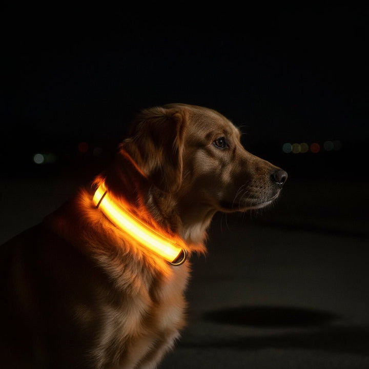 Kalsten | LED Safety Dog Collar with Adjustable Fit