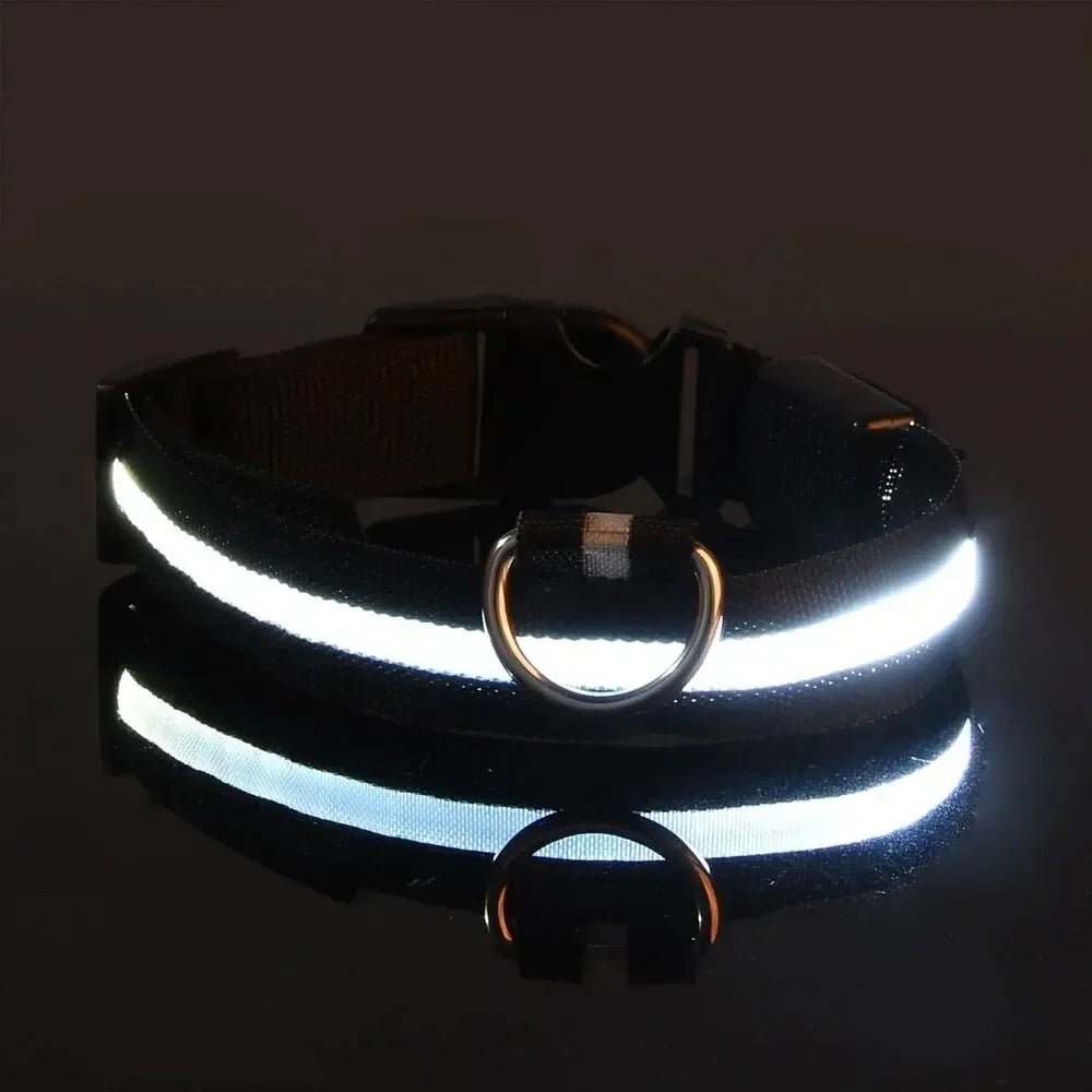 Kalsten | LED Safety Dog Collar with Adjustable Fit