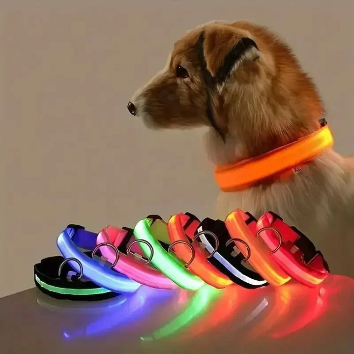 Kalsten | LED Safety Dog Collar with Adjustable Fit