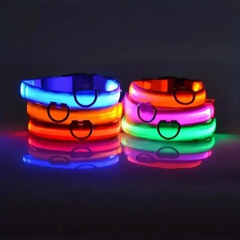 Kalsten | LED Safety Dog Collar with Adjustable Fit