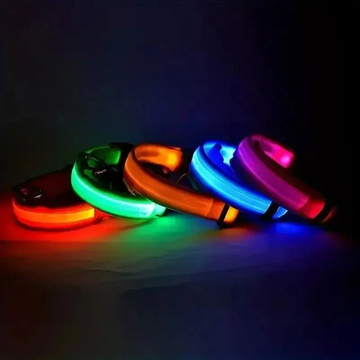 Kalsten | LED Safety Dog Collar with Adjustable Fit