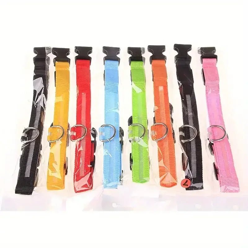 Kalsten | LED Safety Dog Collar with Adjustable Fit