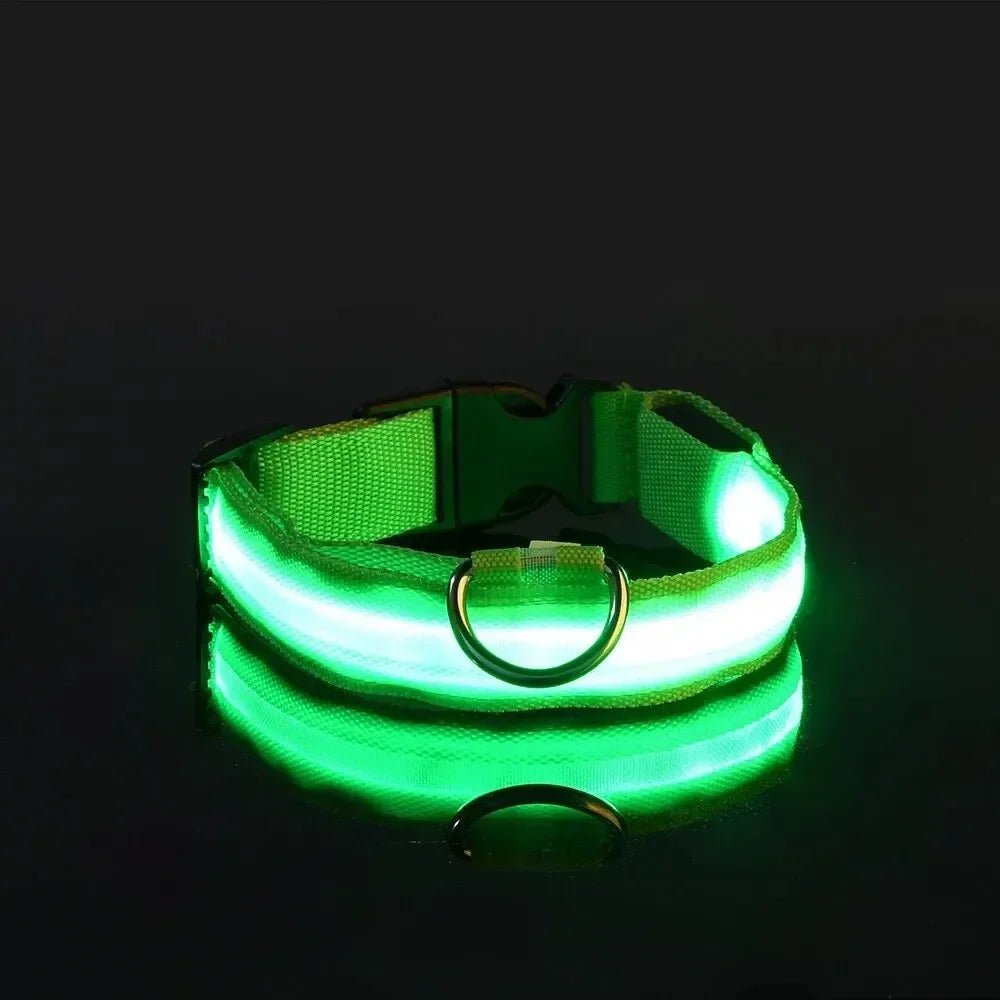 Kalsten | LED Safety Dog Collar with Adjustable Fit