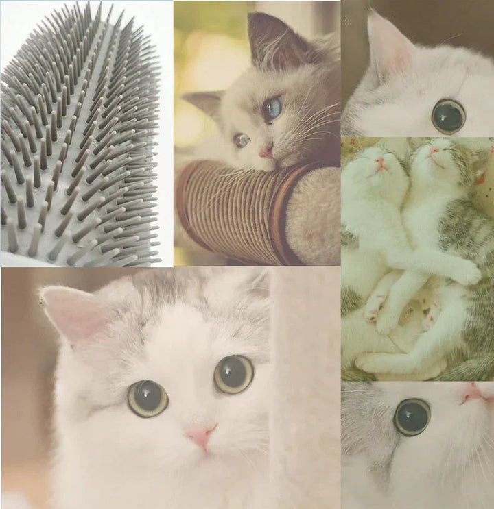 Self-Grooming Cat Corner Brush – FurRelaxer Kalsten
