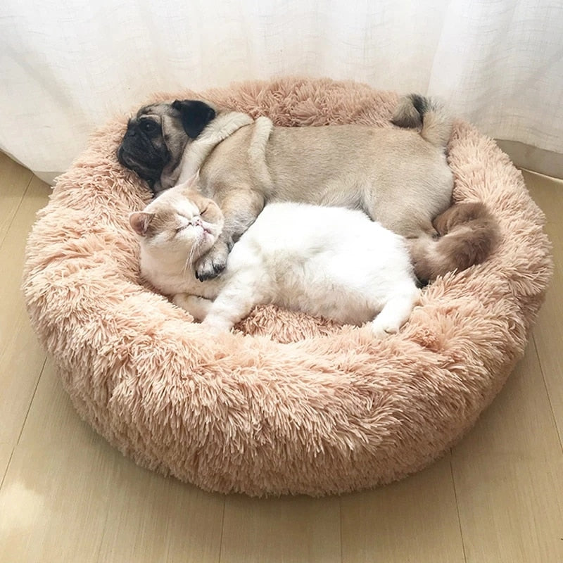 Pet Donut Sofa - Let your pet enjoy comfort 🐾 Noxord