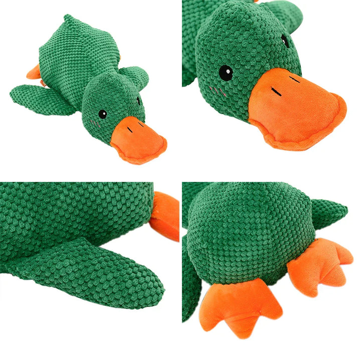 Kalsten | Calming duck for dogs
