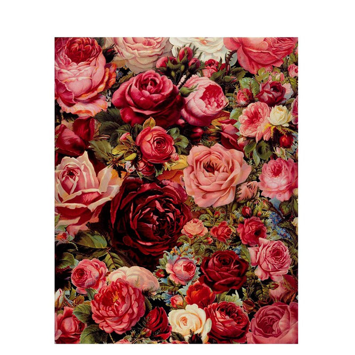 Flower portrait (Paint by number) Noxord