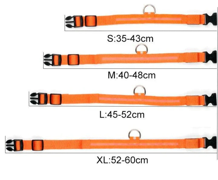 Kalsten | GlowPets LED Collar – Safety & Visibility for Pets