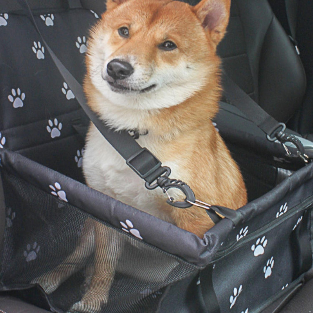 Kalsten | AutoPaw Elevated Dog Seat – Waterproof, Non-slip and Safe for On the Go