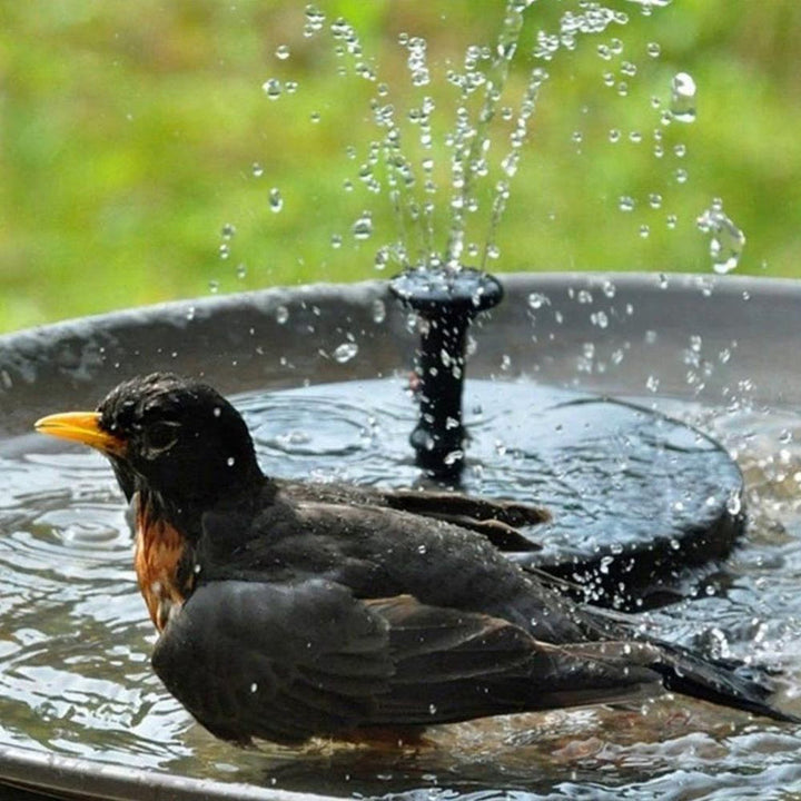 Kalsten | Solar Energy Fountain Pump WaterSoft – For Pond, Birdbath or Garden Decoration