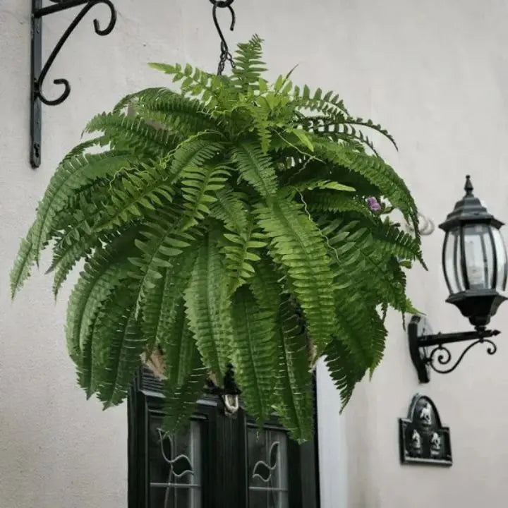 Kalsten | Artificial Boston Fern Bundle - UV resistant & easy to care for (18 stems)
