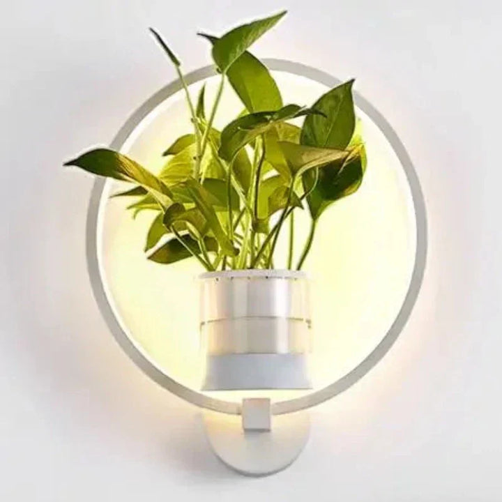 Luminaire Sconce - Plant Wall Light | Kalsten