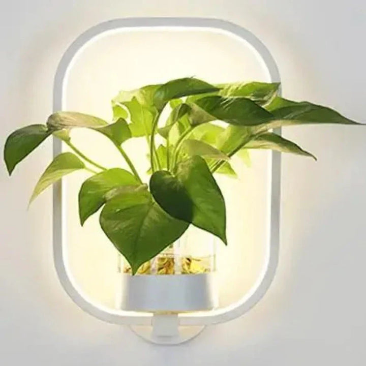 Wall Lamp with Glass Plant Holder Kalsten