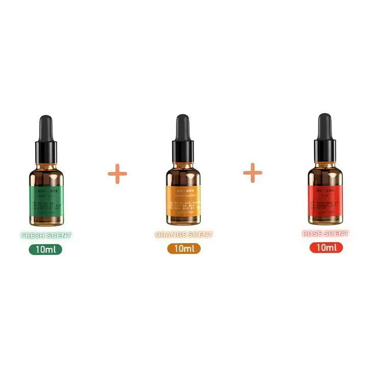 Kalsten | SeraphAura Aroma Light