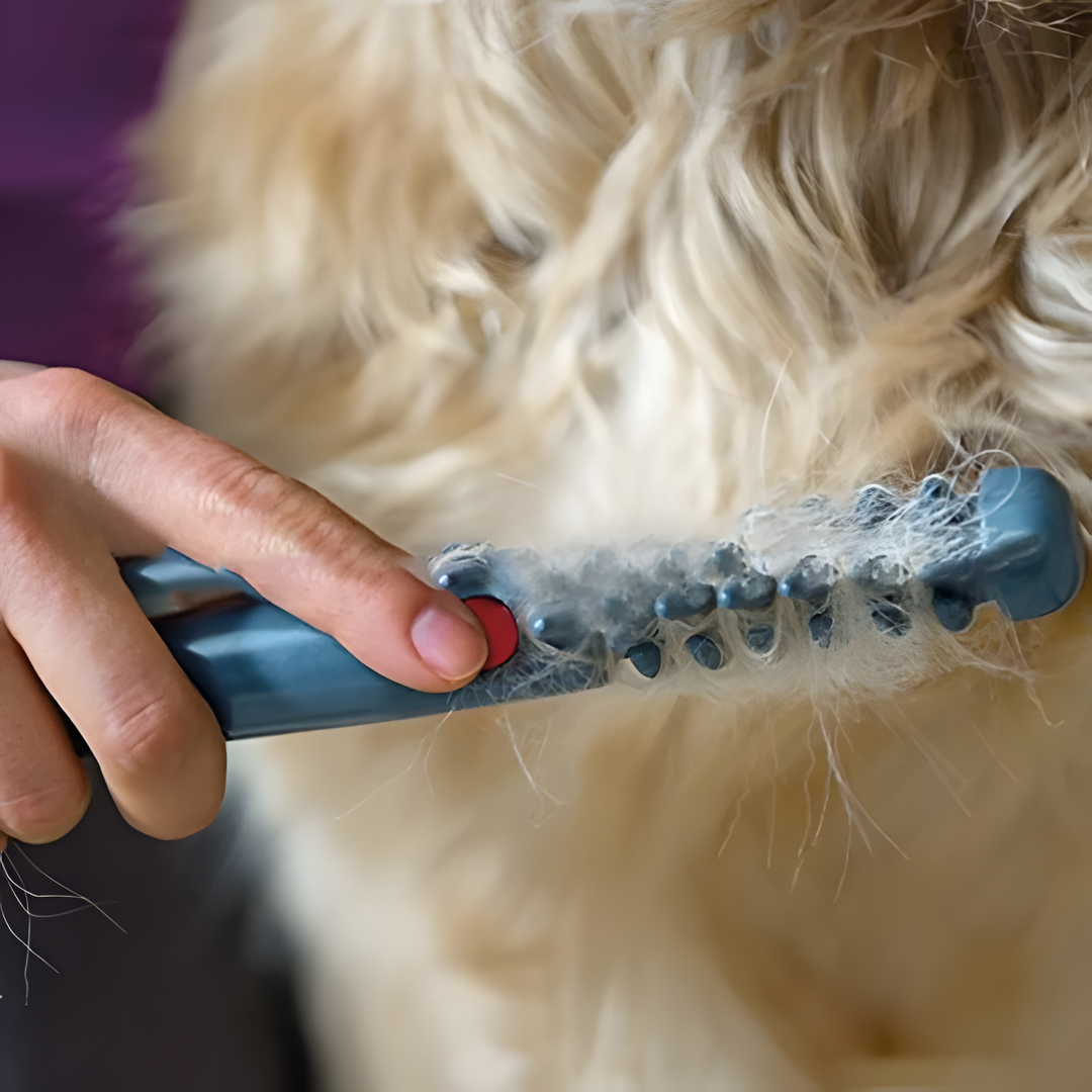 Kalsten | Pet Grooming Comb Plastic Detangling Tool