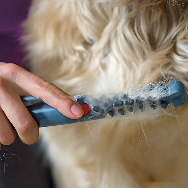 Noxord | No More Knots and Tangles for Pets