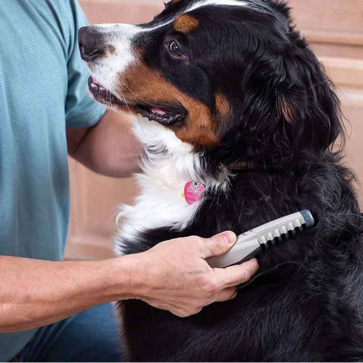 Noxord | No More Knots and Tangles for Pets