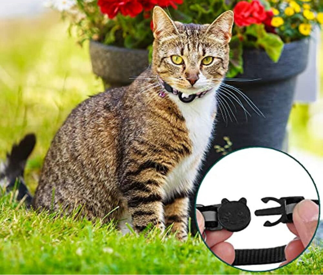 GPS Tracking Collar for Cats