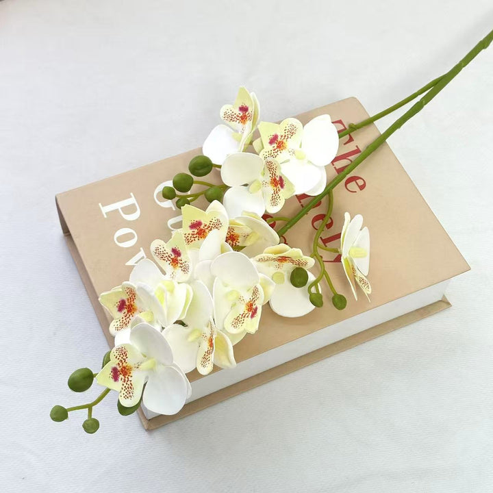 Decorative Orchid for Indoor Home Display