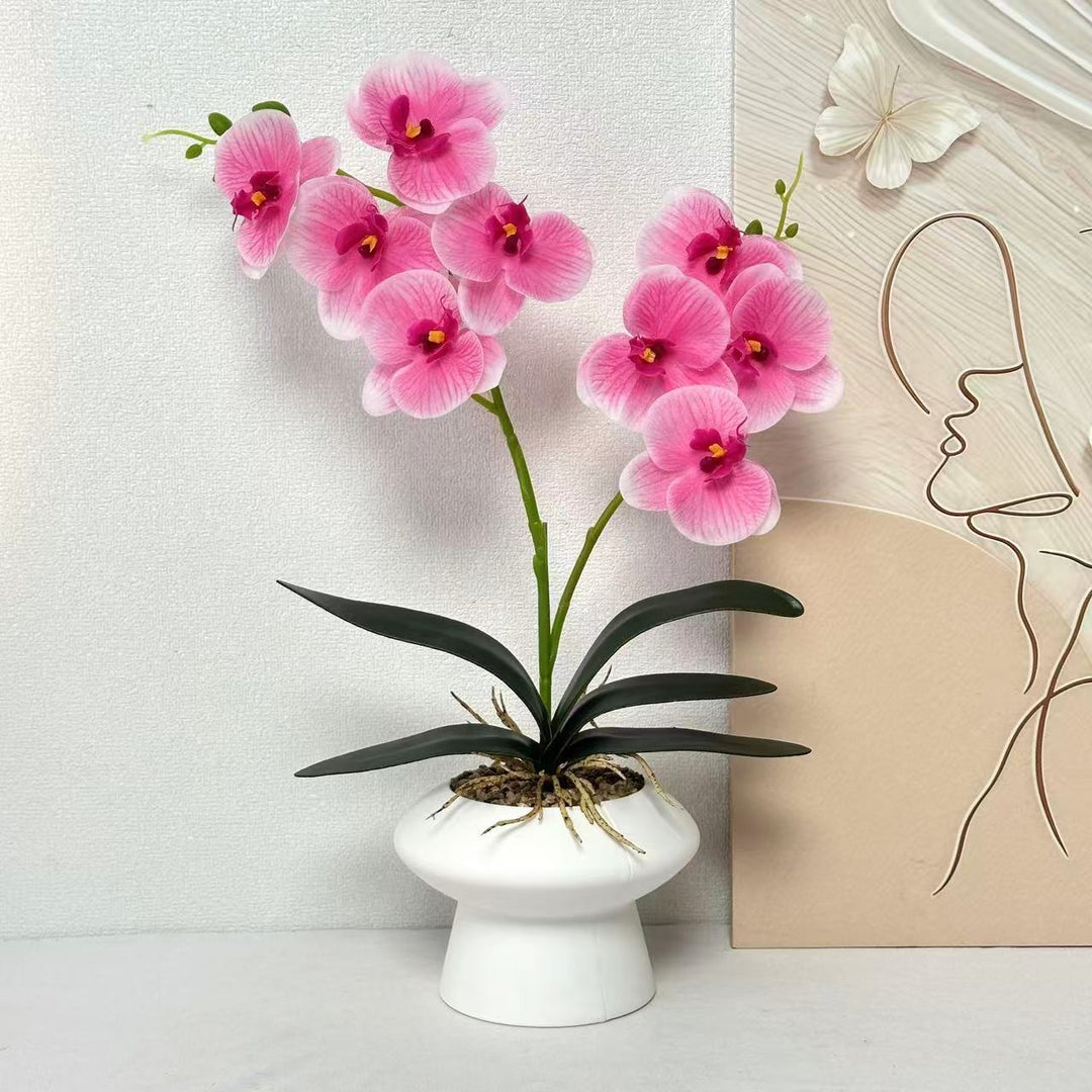 Decorative Orchid Plant Centerpiece