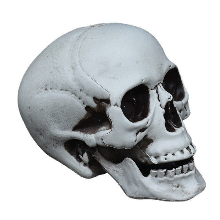 Decorative Skull Phone Stand Kalsten 1790561033