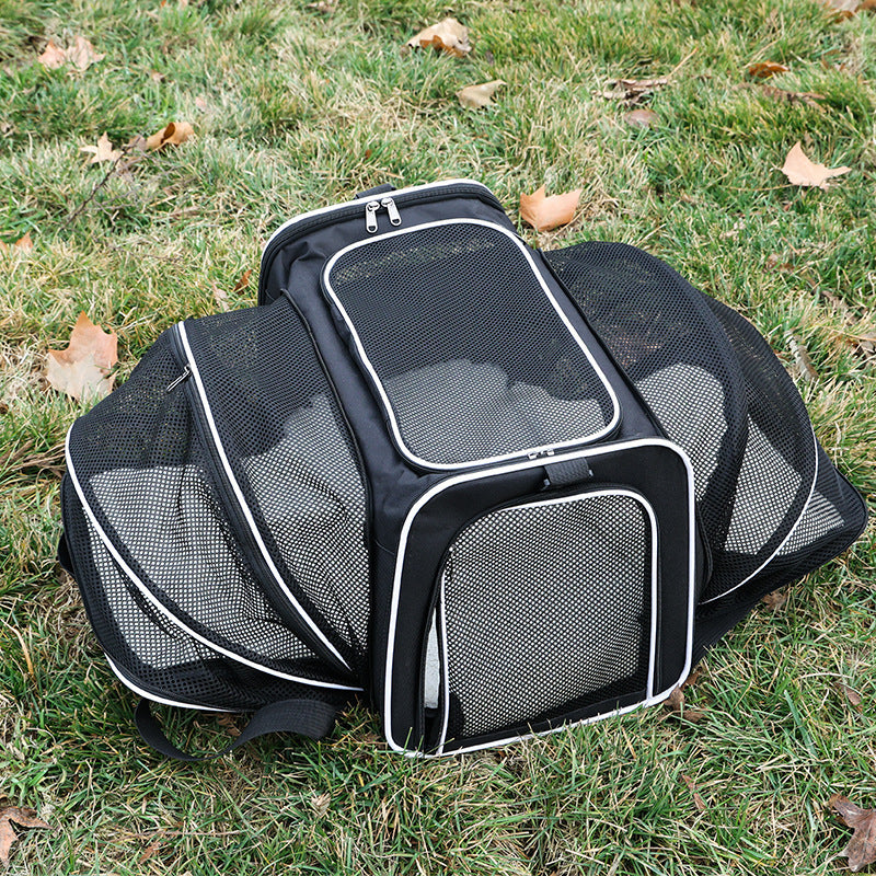 Transport bag Kalsten