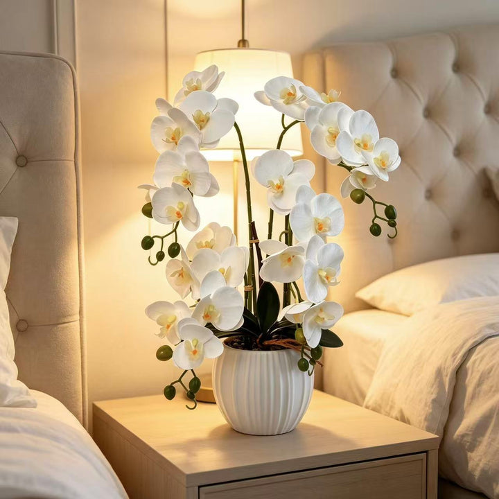 Elegant Orchid Flower Arrangement