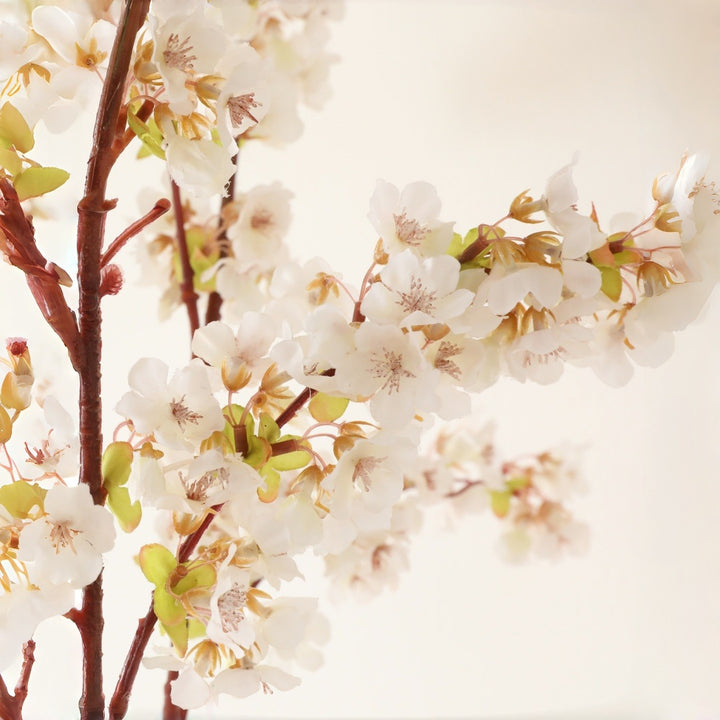 Elegant Botanical Decoration