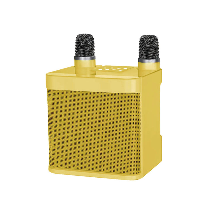 Karaoke Speaker System Kalsten