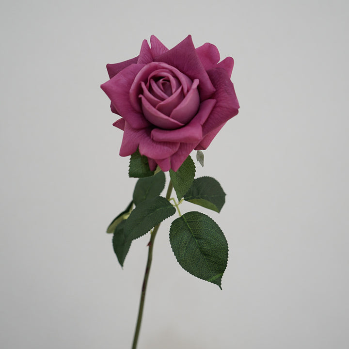 Lifelike Garden Rose Stem