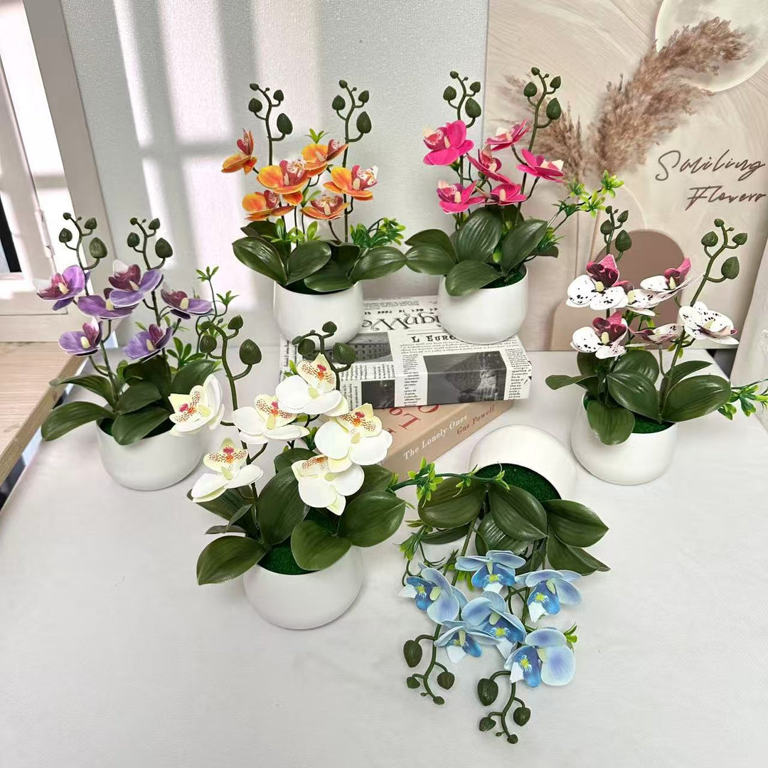 Orchid Floral Arrangement