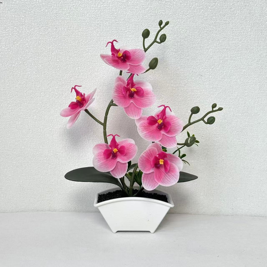 Realistic Decorative Orchid Plant Arrangement