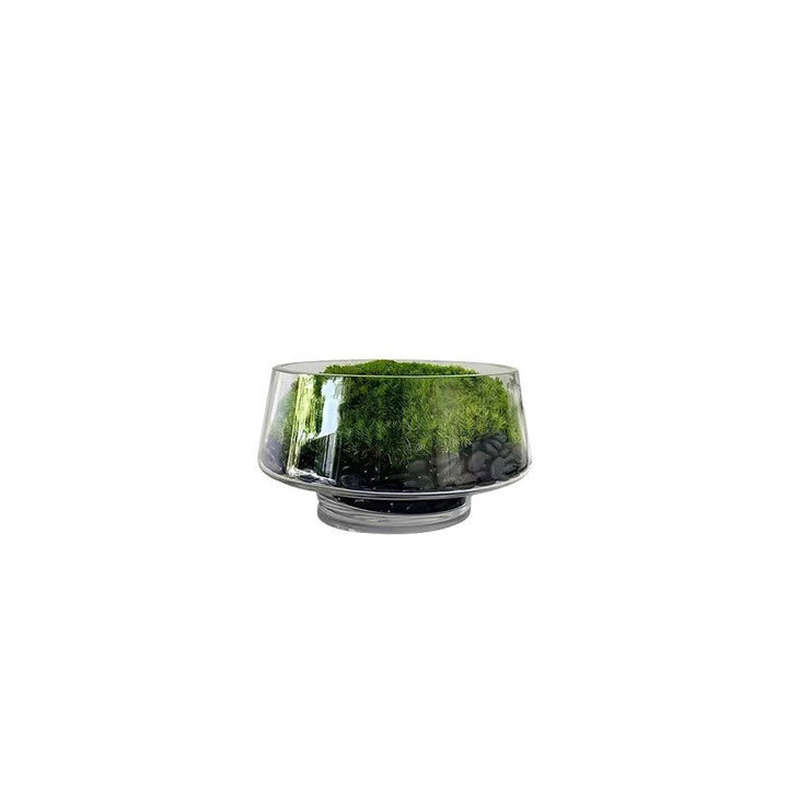 Decorative Terrarium