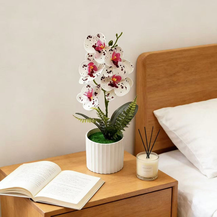 Decorative Orchid Plant Arrangement 1790480742 for Decor