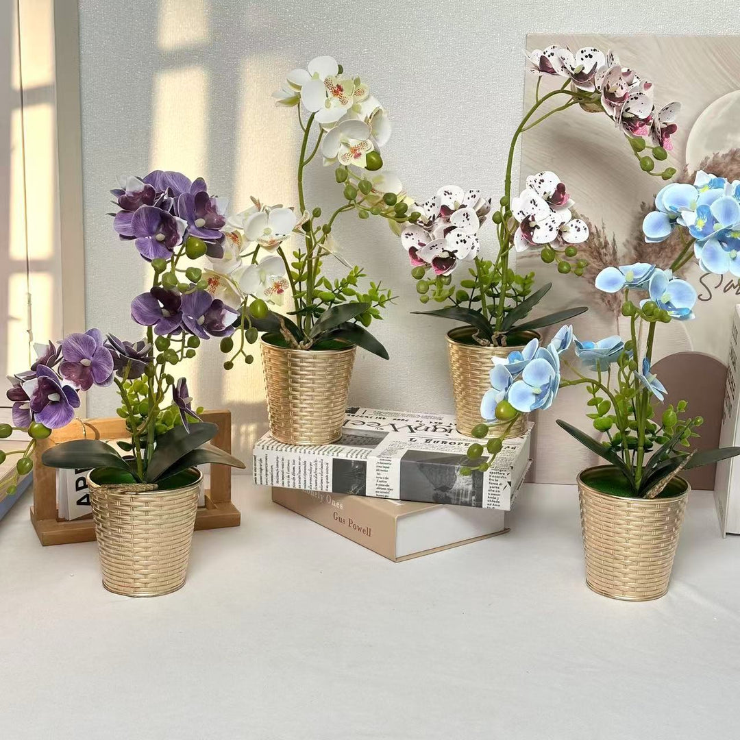 Decorative Orchid Plant for Tabletop Home Decor