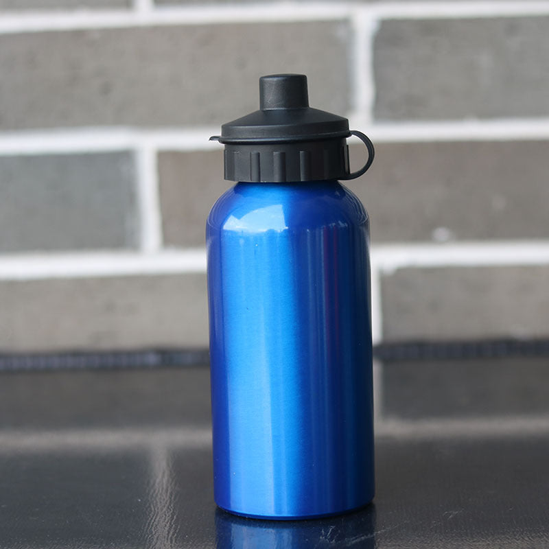 Insulated Stainless Steel Water Bottle Kalsten