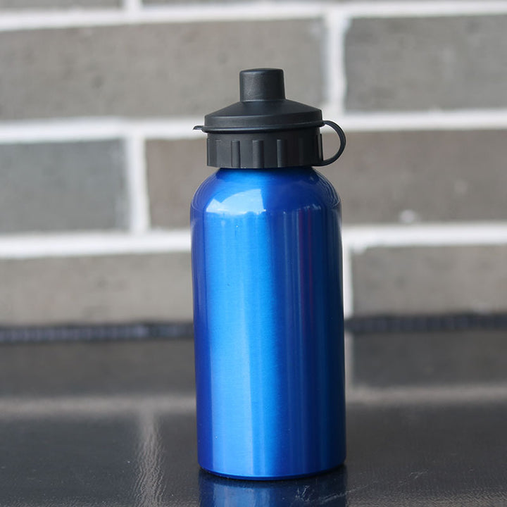 Insulated Stainless Steel Water Bottle Kalsten