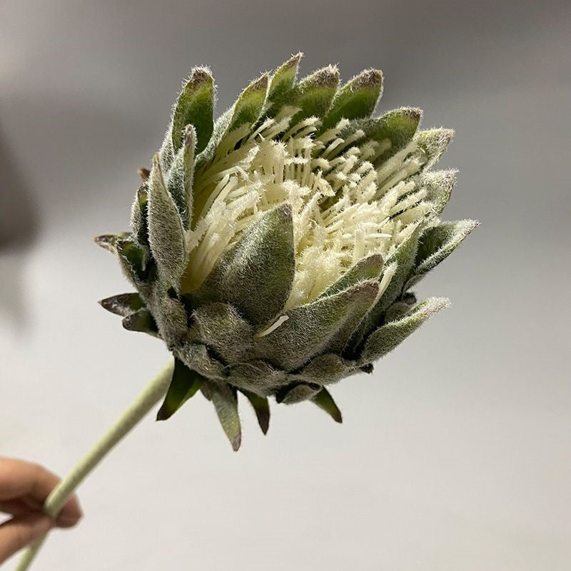 Lifelike Protea Flower Stem